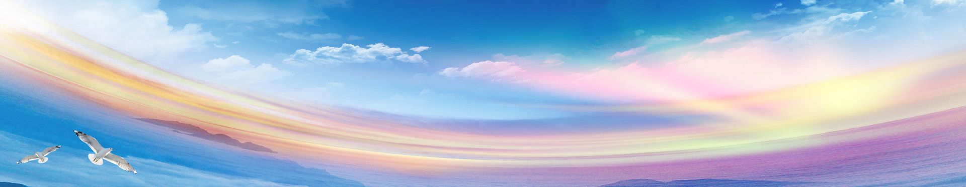 展會(huì)項(xiàng)目